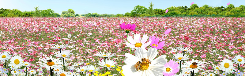 唐山花卉市场招商