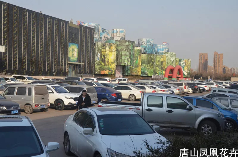 曹妃甸多种多样凤凰花城在哪厂家