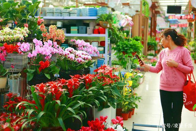 唐海多种多样凤凰花卉仿古家具市场厂家