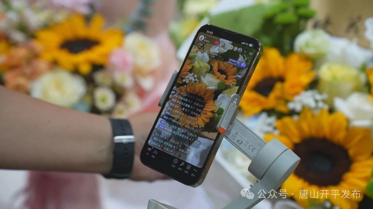 凤凰花卉